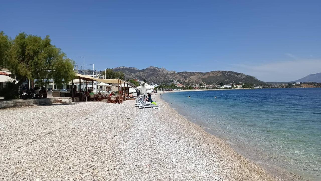 Alexadra'S House Κάτω Αλμυρή Apartment Ngoại thất bức ảnh