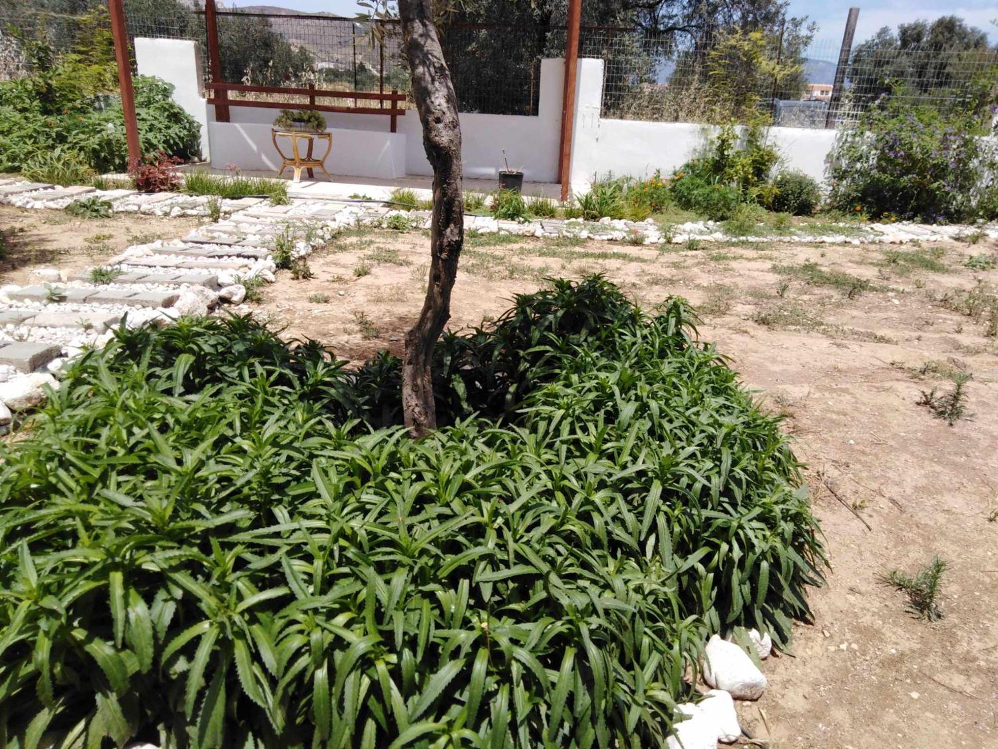 Alexadra'S House Κάτω Αλμυρή Apartment Ngoại thất bức ảnh